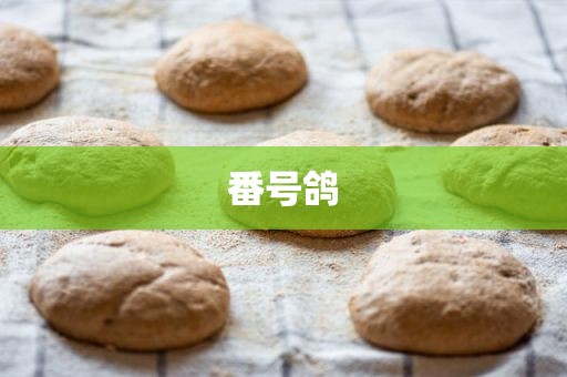 番号鸽