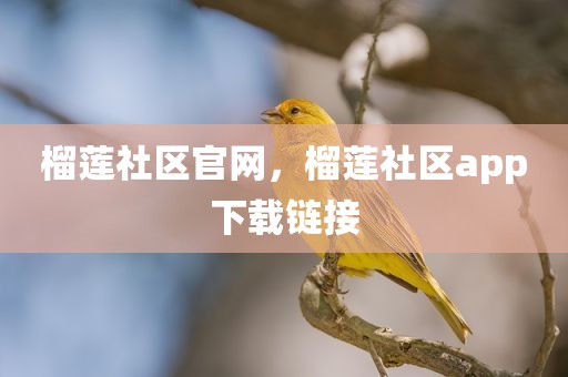 榴莲社区官网，榴莲社区app下载链接