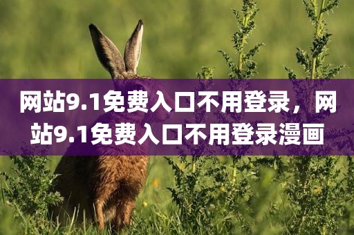 网站9.1免费入口不用登录，网站9.1免费入口不用登录漫画