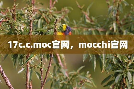 17c.c.moc官网，mocchi官网