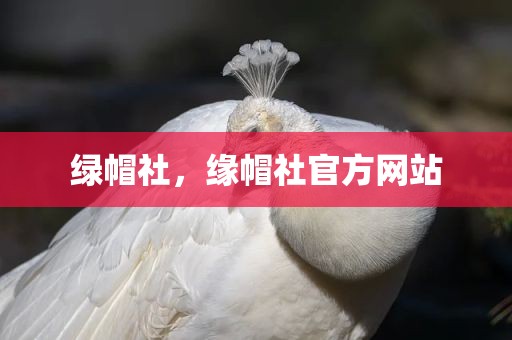 绿帽社，缘帽社官方网站
