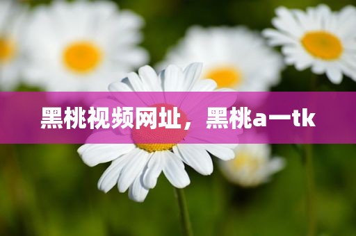 黑桃视频网址，黑桃a一tk