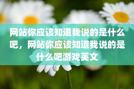 网站你应该知道我说的是什么吧，网站你应该知道我说的是什么吧游戏英文