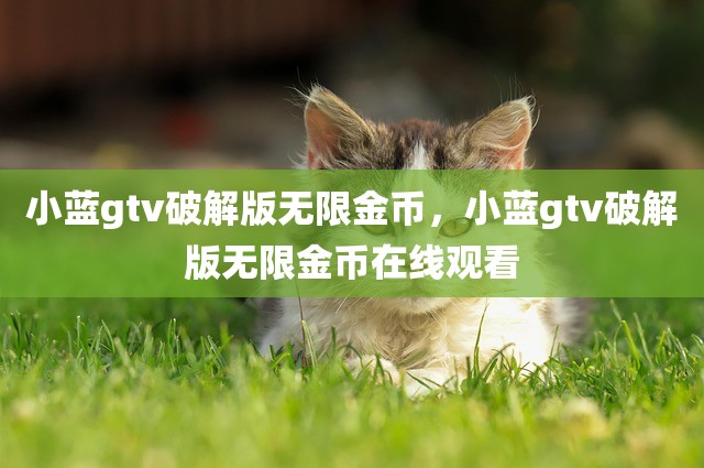 小蓝gtv破解版无限金币，小蓝gtv破解版无限金币在线观看