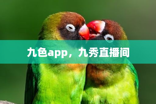 九色app，九秀直播间