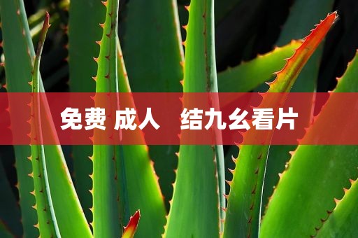 免费 成人   结九幺看片
