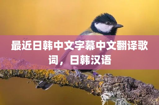 最近日韩中文字幕中文翻译歌词，日韩汉语