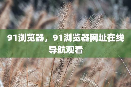 91浏览器，91浏览器网址在线导航观看