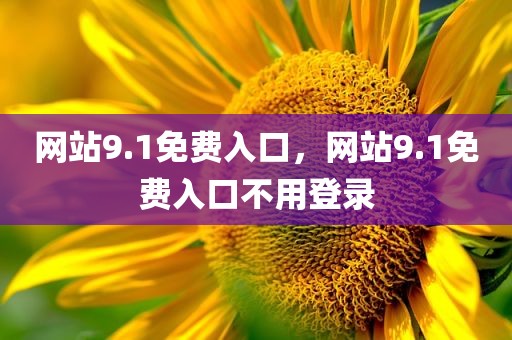 网站9.1免费入口，网站9.1免费入口不用登录