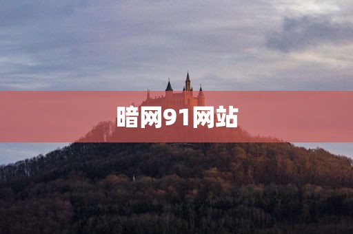 暗网91网站