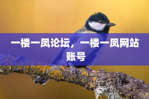 一楼一凤论坛，一楼一凤网站 账号