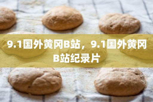 9.1国外黄冈B站，9.1国外黄冈B站纪录片