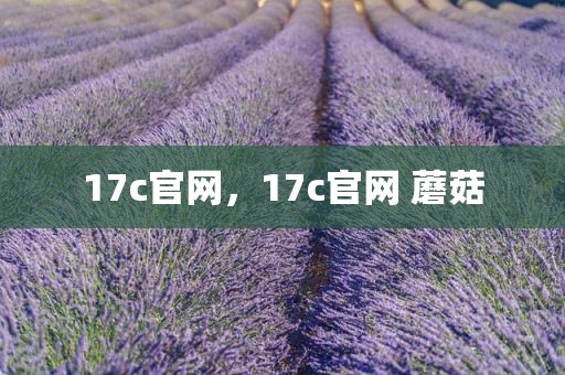 17c官网，17c官网 蘑菇