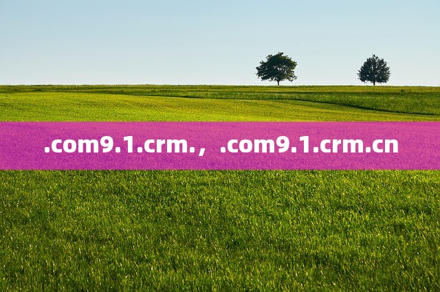 .com9.1.crm.，.com9.1.crm.cn