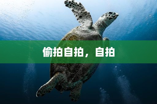 偷拍自拍，自拍