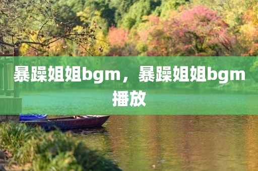 暴躁姐姐bgm，暴躁姐姐bgm播放