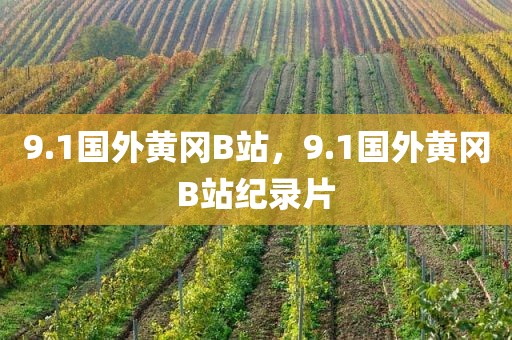 9.1国外黄冈B站，9.1国外黄冈B站纪录片