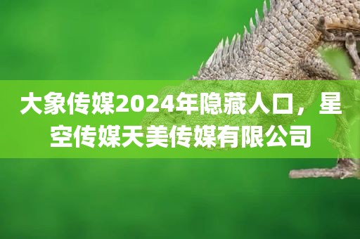 大象传媒2024年隐藏人口，星空传媒天美传媒有限公司