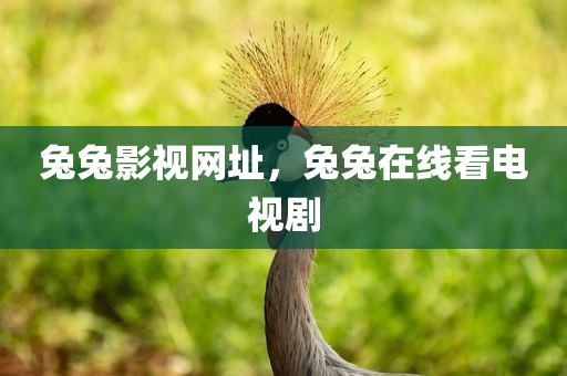 兔兔影视网址，兔兔在线看电视剧