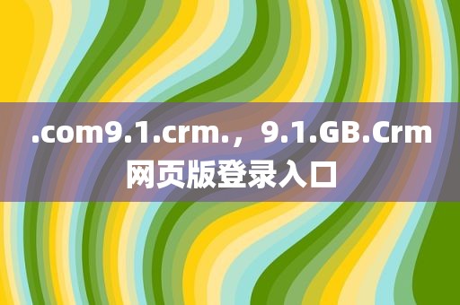 .com9.1.crm.，9.1.GB.Crm网页版登录入口