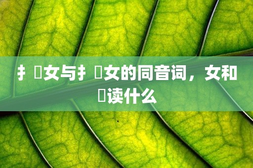 扌喿女与扌喿女的同音词，女和翏读什么