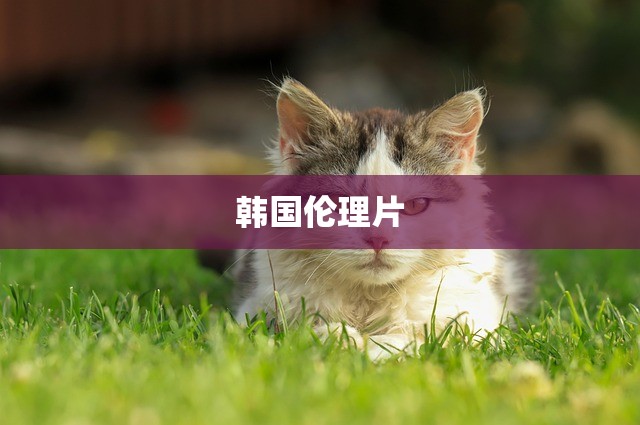 韩国伦理片
