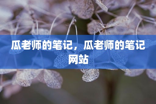 瓜老师的笔记，瓜老师的笔记网站