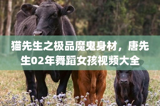 猫先生之极品魔鬼身材，唐先生02年舞蹈女孩视频大全