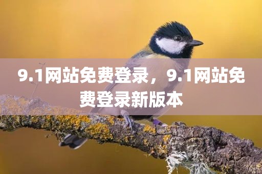 9.1网站免费登录，9.1网站免费登录新版本