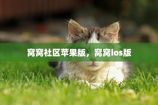窝窝社区苹果版，窝窝ios版