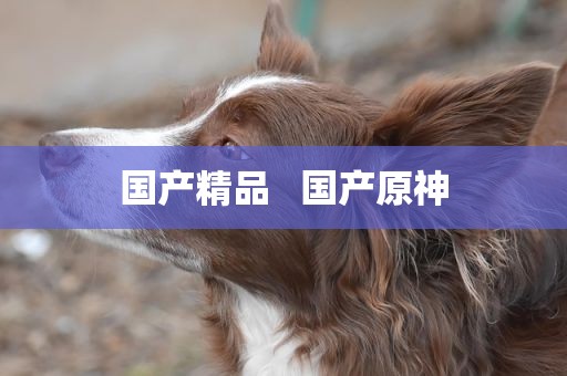 国产精品   国产原神
