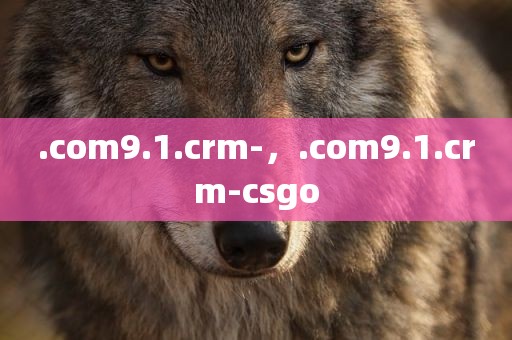.com9.1.crm-，.com9.1.crm-csgo