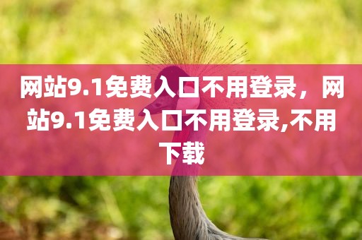 网站9.1免费入口不用登录，网站9.1免费入口不用登录,不用下载
