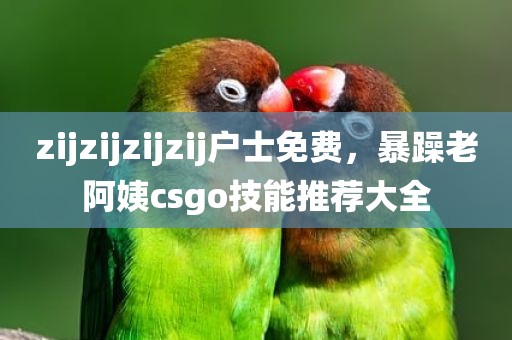 zijzijzijzij户士免费，暴躁老阿姨csgo技能推荐大全