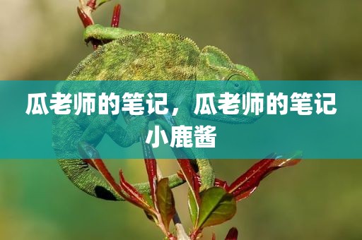 瓜老师的笔记，瓜老师的笔记小鹿酱