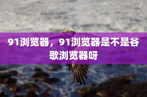 91浏览器，91浏览器是不是谷歌浏览器呀
