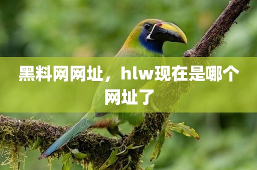 黑料网网址，hlw现在是哪个网址了