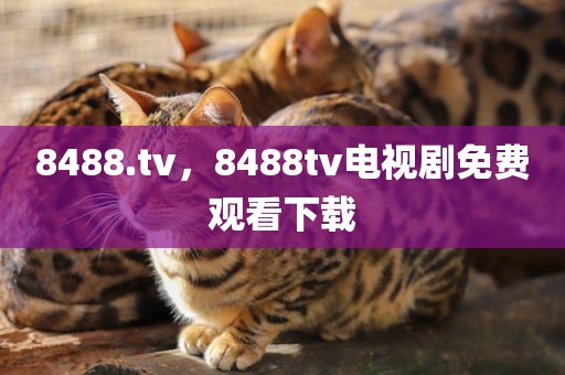 8488.tv，8488tv电视剧免费观看下载
