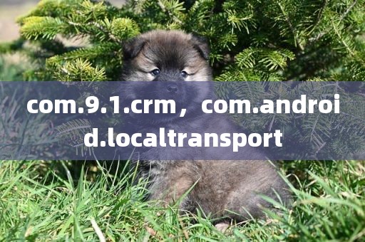 com.9.1.crm，com.android.localtransport