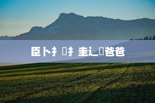 臣卜扌喿扌圭辶畐爸爸