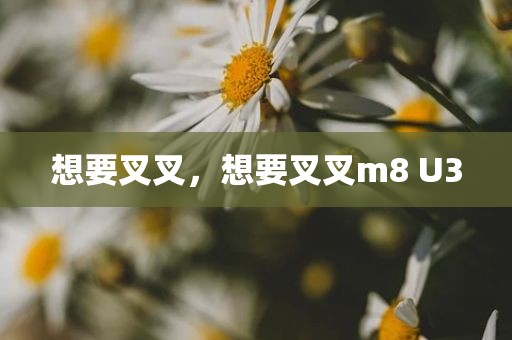 想要叉叉，想要叉叉m8 U3