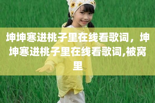 坤坤寒进桃子里在线看歌词，坤坤寒进桃子里在线看歌词,被窝里