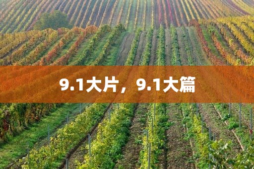 9.1大片，9.1大篇