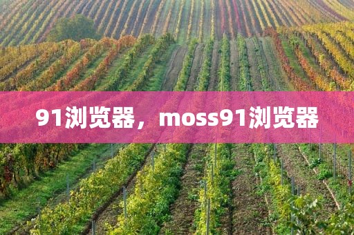 91浏览器，moss91浏览器