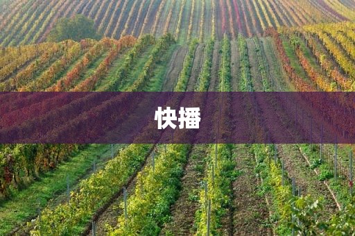 快播