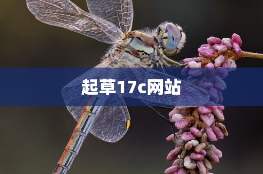 起草17c网站