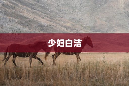 少妇白洁