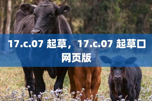 17.c.07 起草，17.c.07 起草口网页版