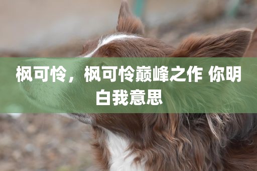 枫可怜，枫可怜巅峰之作 你明白我意思