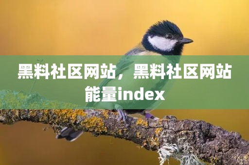 黑料社区网站，黑料社区网站能量index